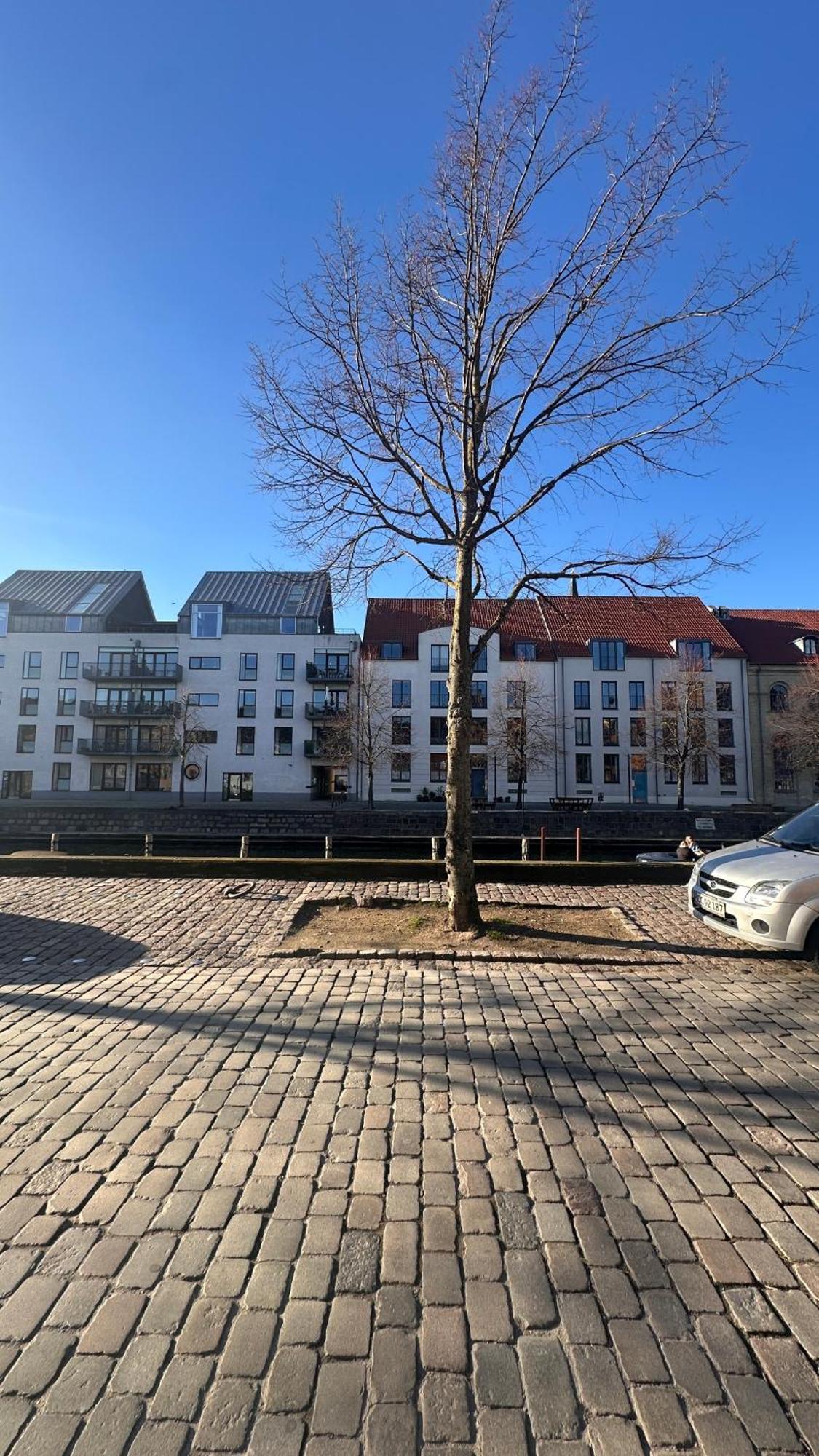 Christianshavn Nr 1 Apartment
